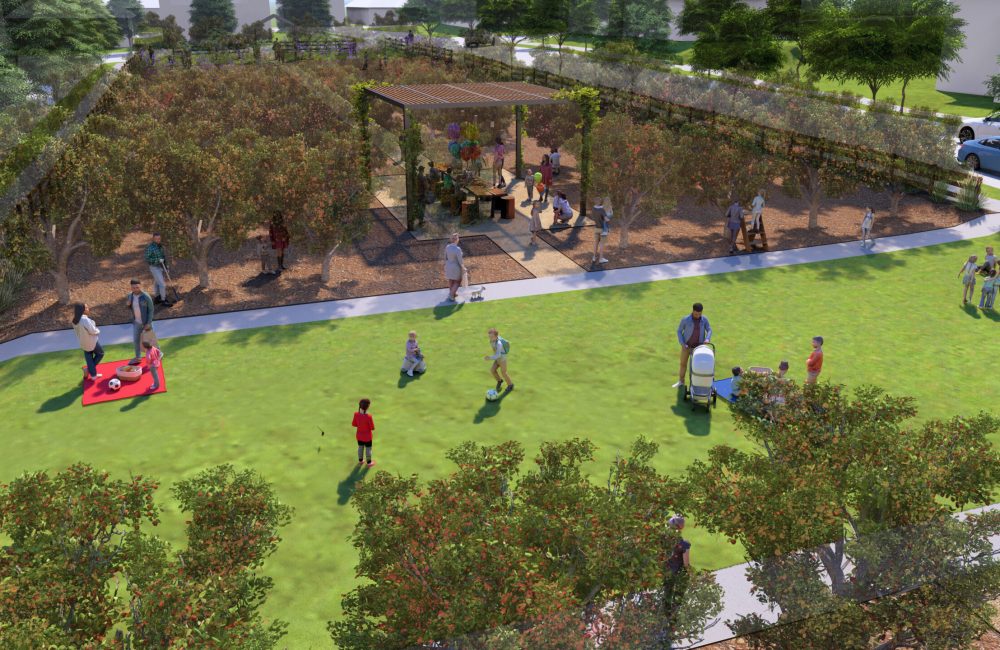 rendering of The Grove